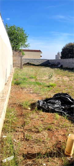 Foto REO1130666