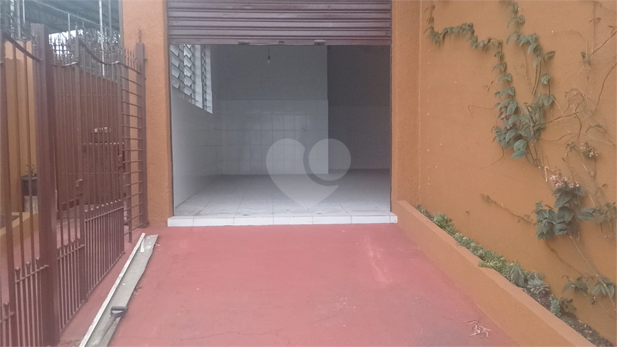 Foto REO1130683