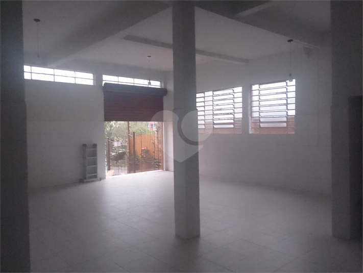 Foto REO1130683