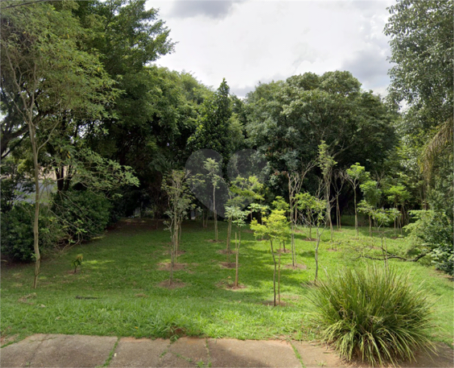 Foto REO1130687