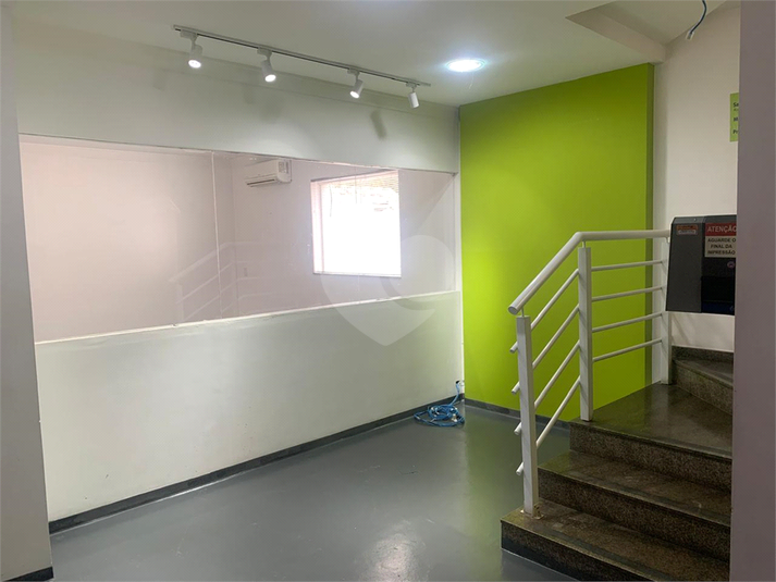 Foto REO1130698