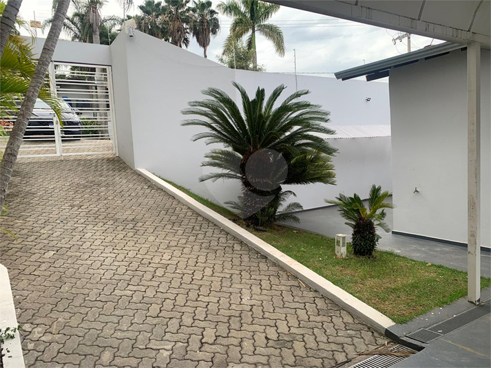 Foto REO1130698