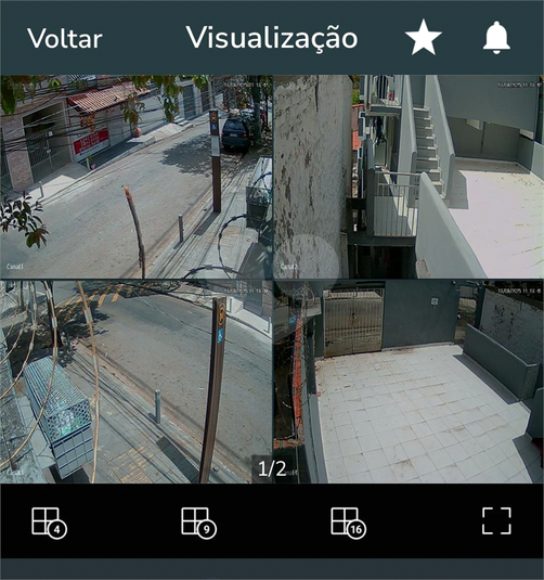 Foto REO1130713