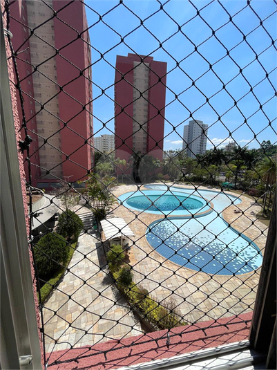Foto REO1130723