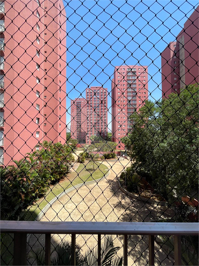 Foto REO1130723