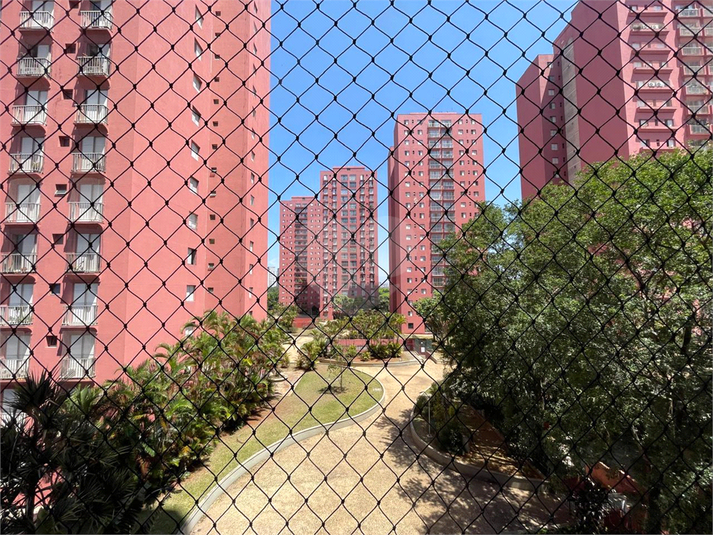Foto REO1130723