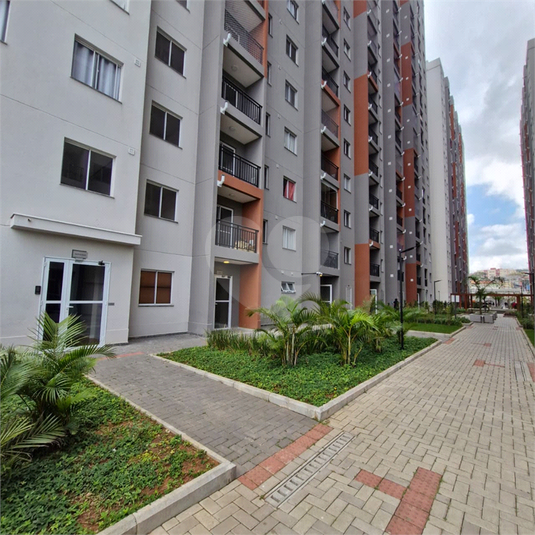 Foto REO1130740