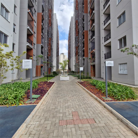 Foto REO1130740