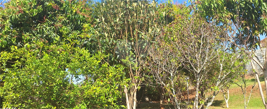 Foto REO1130742