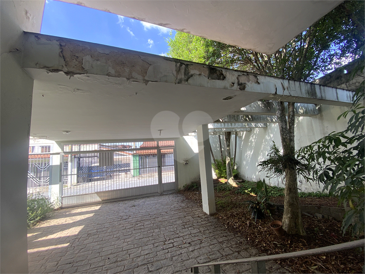 Foto REO1130743