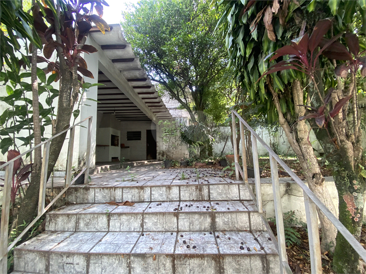 Foto REO1130743