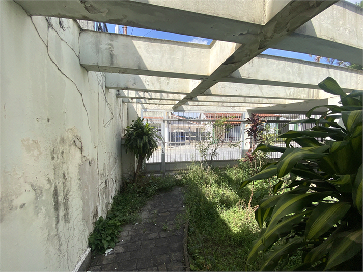 Foto REO1130743