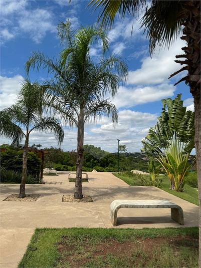 Foto REO1130751