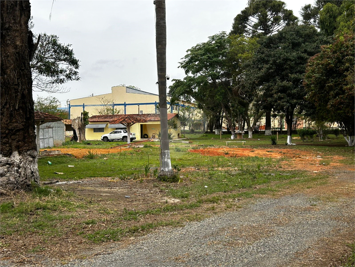 Foto REO1130766