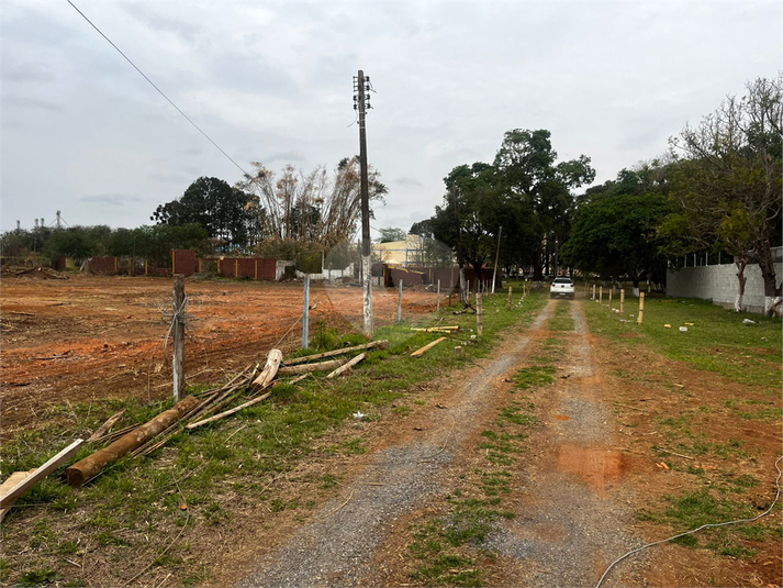 Foto REO1130766