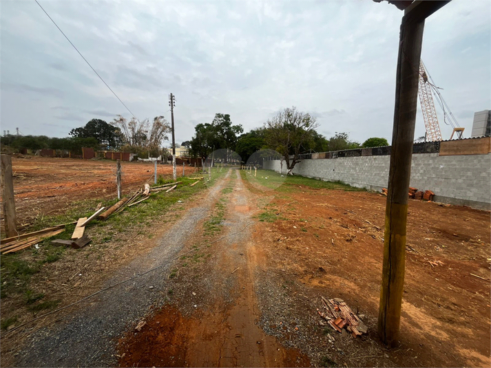 Foto REO1130766