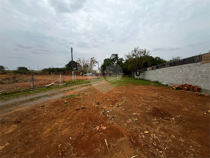 Foto REO1130766