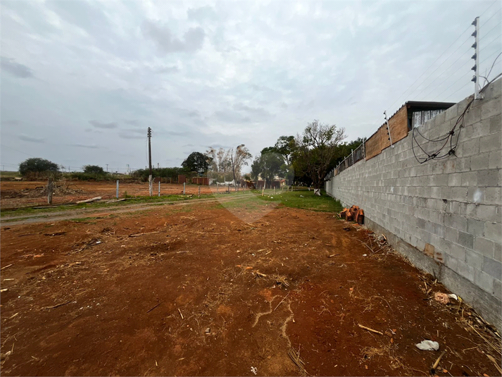 Foto REO1130766