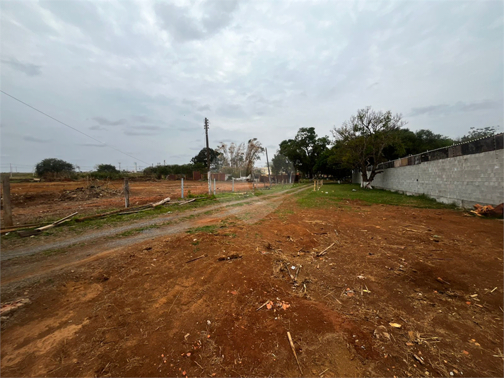 Foto REO1130766