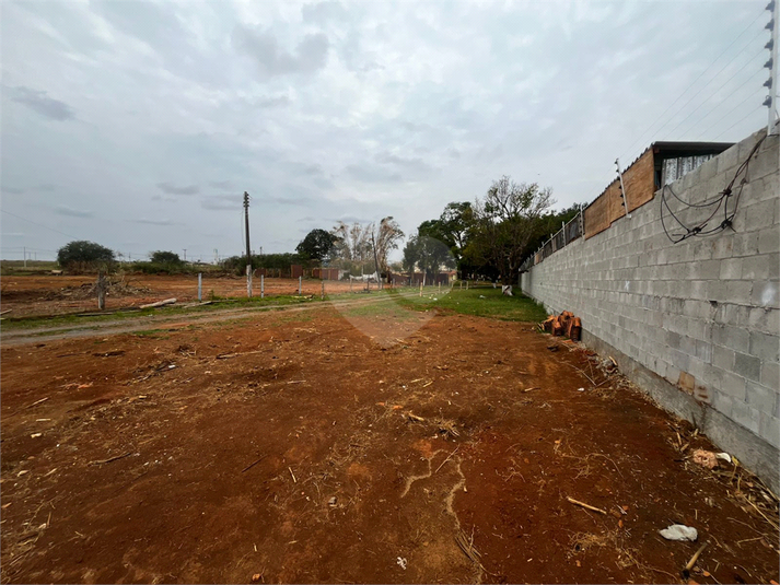 Foto REO1130766