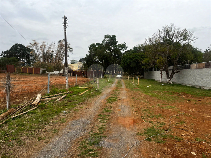 Foto REO1130766