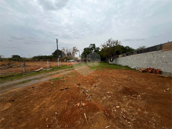 Foto REO1130766