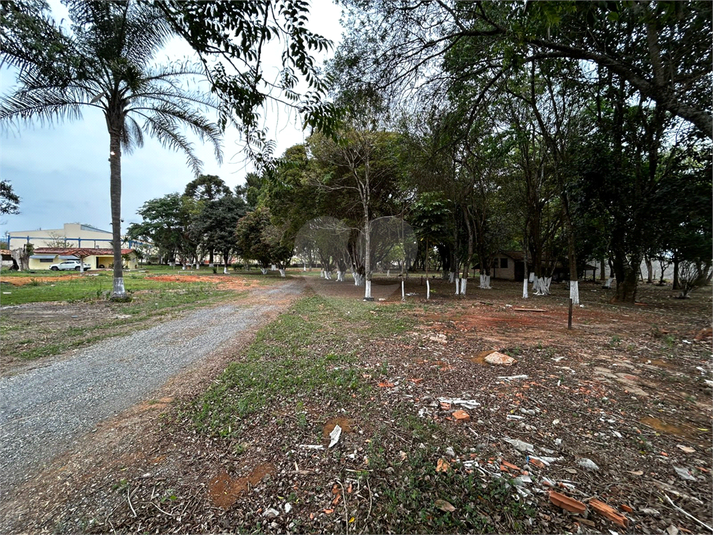 Foto REO1130766