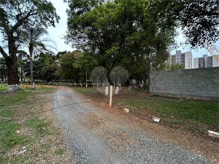 Foto REO1130766