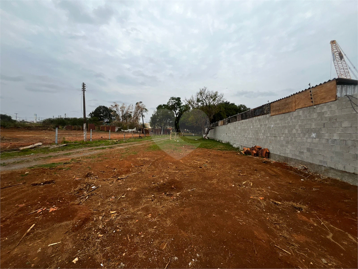 Foto REO1130766