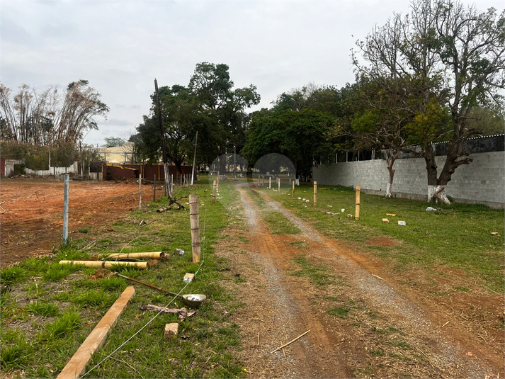 Foto REO1130766