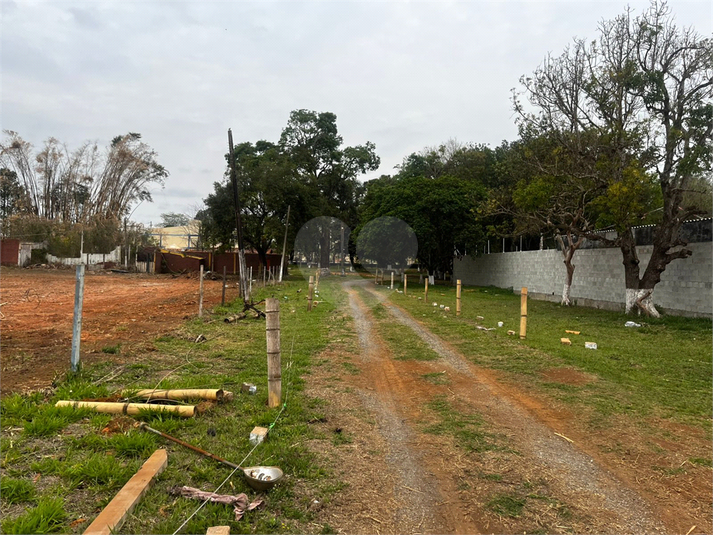 Foto REO1130766