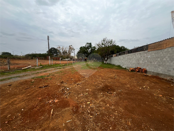 Foto REO1130766