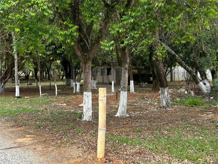 Foto REO1130766