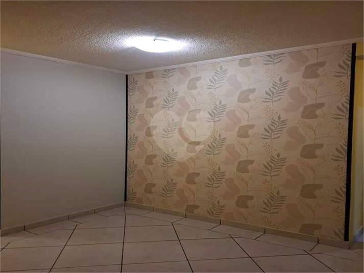 Foto REO1130778