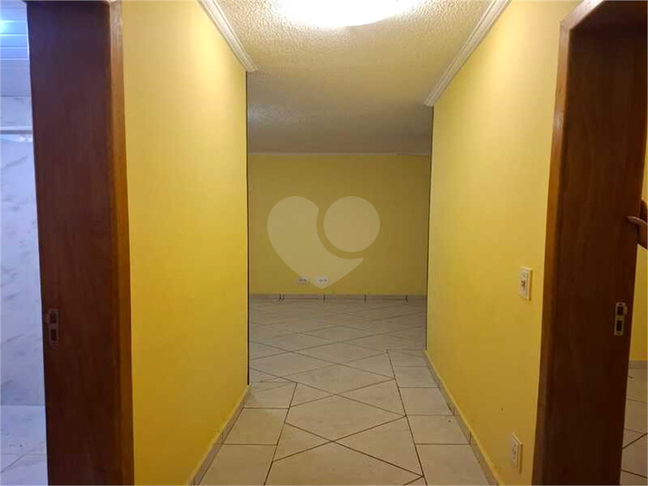 Foto REO1130778