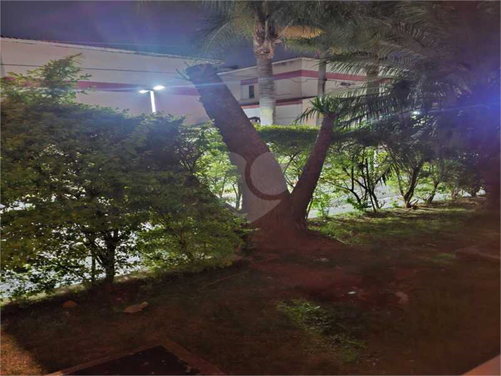 Foto REO1130778