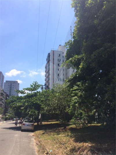 Foto REO1130799