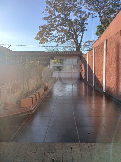 Foto REO1130812