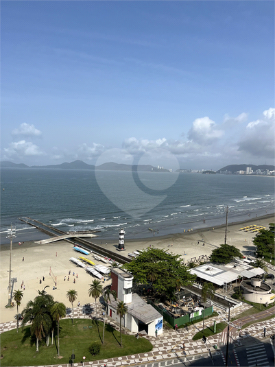 Foto REO1130817
