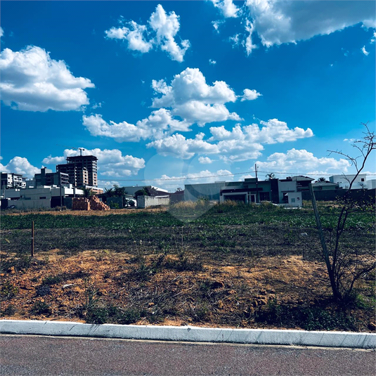 Foto REO1130823