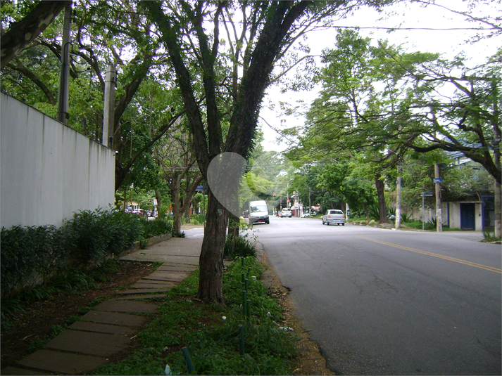 Foto REO1130825