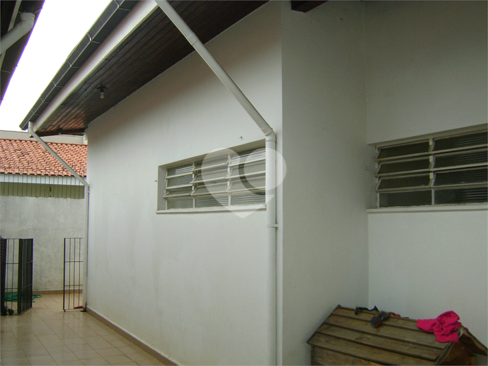 Foto REO1130825