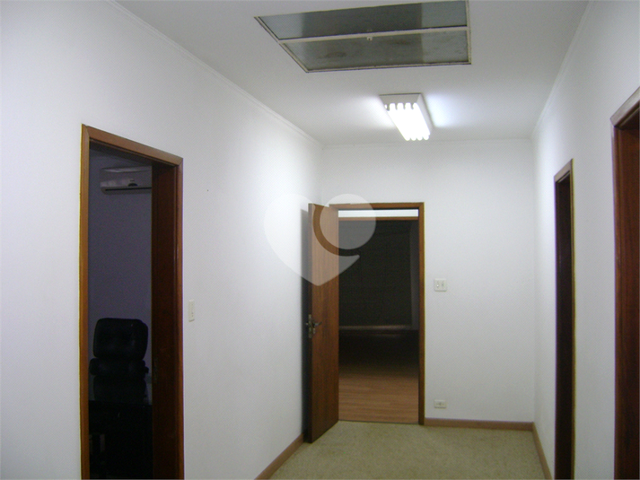 Foto REO1130825