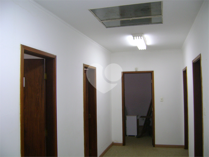 Foto REO1130825