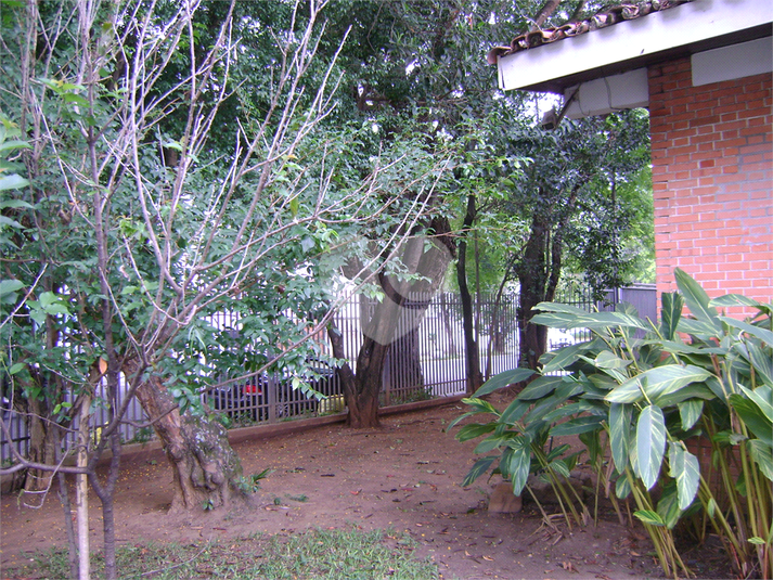 Foto REO1130825
