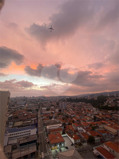 Foto REO1130828