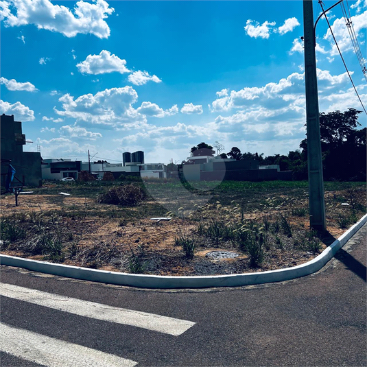 Foto REO1130835