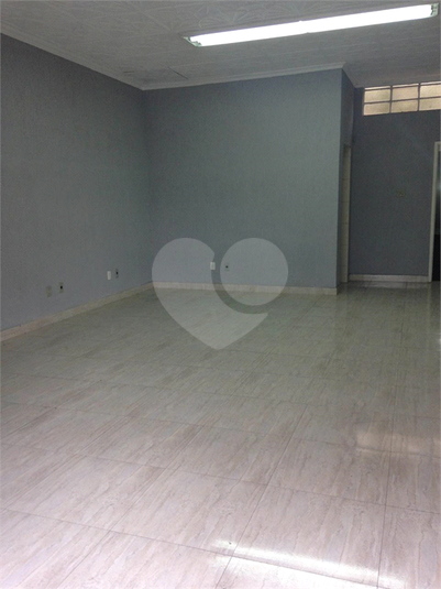 Foto REO1130844