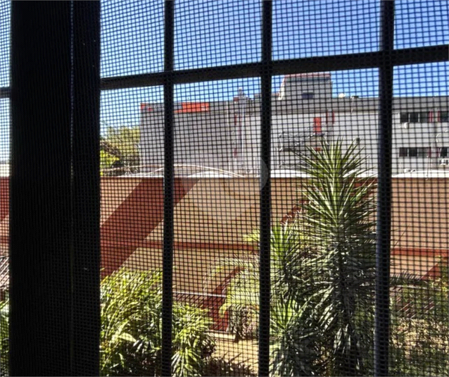 Foto REO1130848