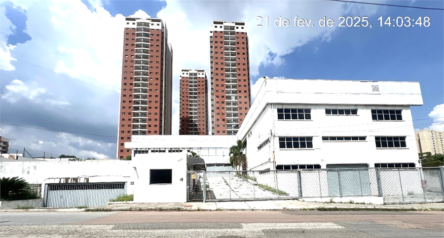 Foto REO1130856